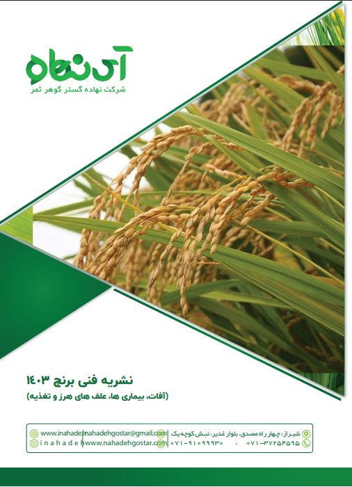 خلاصه نشریه فنی برنج 1404